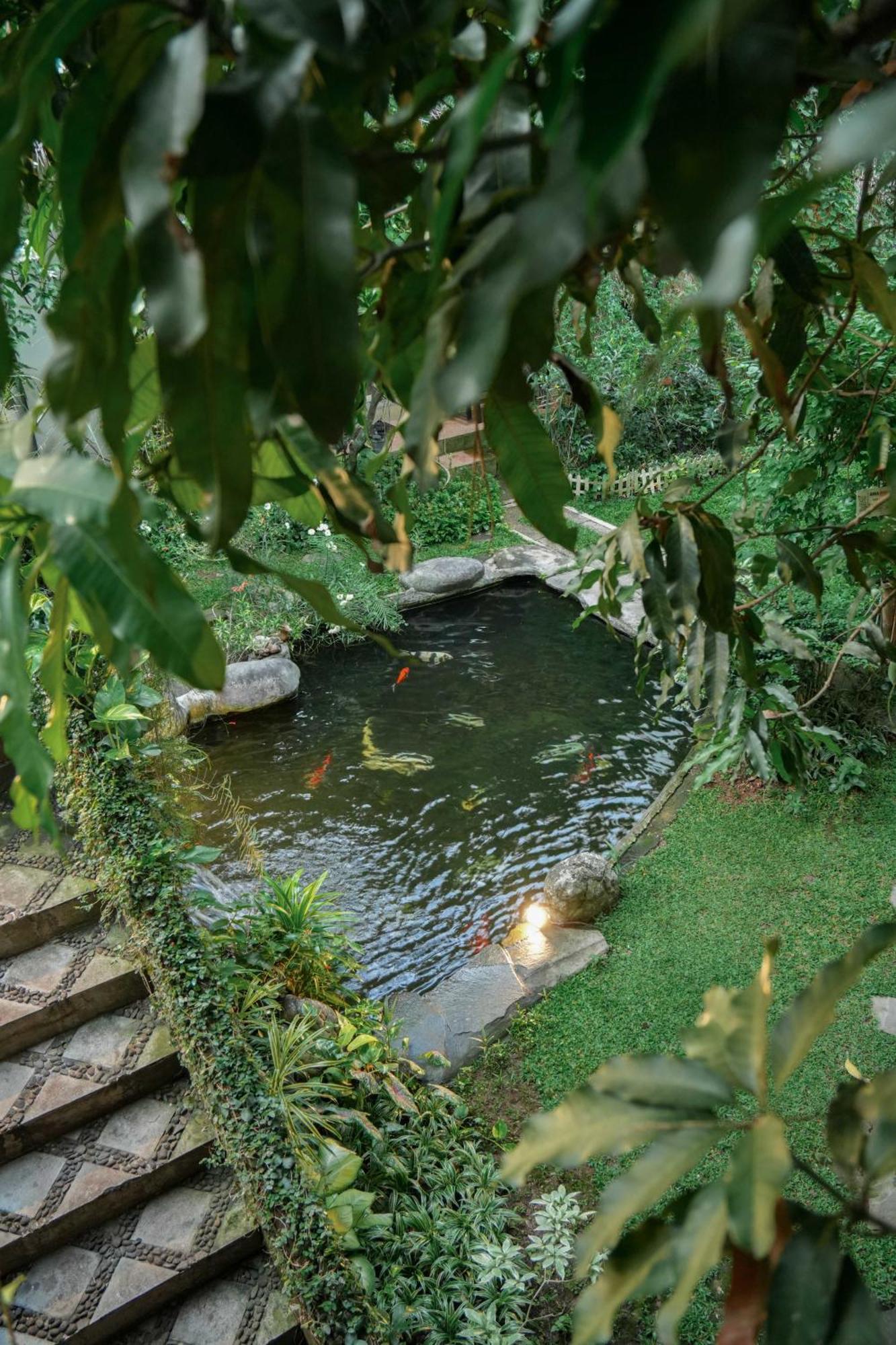 Djajanti House Bed and Breakfast Semarang Buitenkant foto